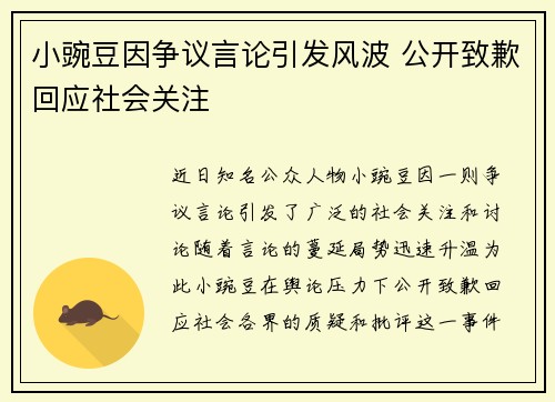 小豌豆因争议言论引发风波 公开致歉回应社会关注